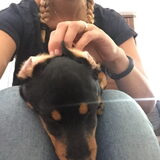 Foto van JackJack