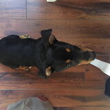 Foto van JackJack