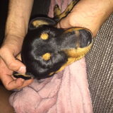 Foto van JackJack