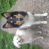 Foto van ~ Luna & Lèxi ~