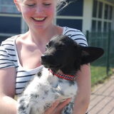 Foto van Doortje & Tibbe