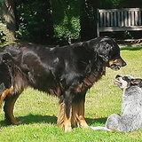 Foto van fabienne