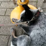 Foto van fabienne