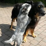 Foto van fabienne
