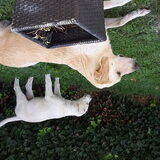 Foto van Melissa  ~Angel & Kylan~