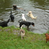 Foto van Martine
