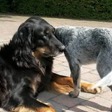 Foto van fabienne