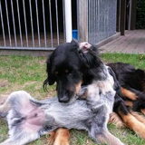 Foto van fabienne