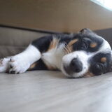 Foto van Katja