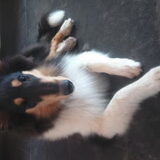 Foto van ~ Luna & Lèxi ~