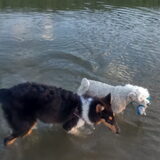 Foto van ~ Luna & Lèxi ~