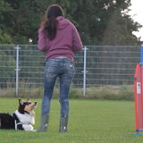 Foto van ~ Luna & Lèxi ~