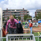 Foto van Eef en Tjibbe