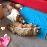 Foto van Suzanne en Luca