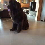 Foto van Jeanine :)