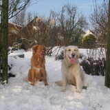 beste vriendjes