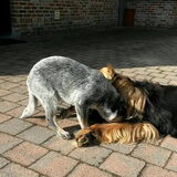 Foto van fabienne