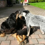 Foto van fabienne