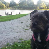 Foto van Ciska en Spanjaardje Moh (Bambi r.i.p.)