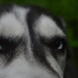 Foto van Jeanine :)
