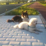 Foto van ~ Luna & Lèxi ~