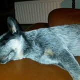 Foto van fabienne
