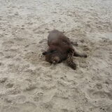 Foto van Jeanine :)