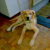 4 maanden oud