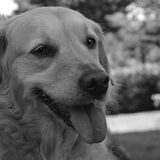 Foto van Jeanine :)