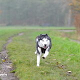 Foto van MaYo