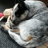 Foto van fabienne