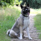 Foto van Jackie en Kiba:)