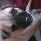 Smileee