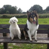 Foto van ~ Luna & Lèxi ~