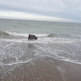 Foto van Jeanine :)
