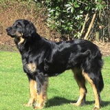 Foto van fabienne