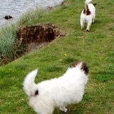 Foto van Heleen
