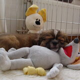 03-03-2010 Aaah..