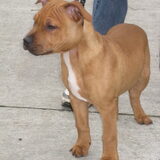 3,5maand en al zo een show beest :p