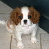 Donna is hier 3 maanden oud en groeit nog steeds als kool.