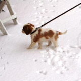 Donna voor het eerst in de sneeuw!