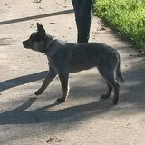 Foto van fabienne