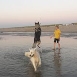 Foto van nicky