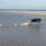 Foto van nicky