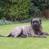 Foto van Lieve Jacobs