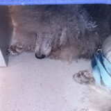 Onder de stoel in de trein