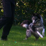 Foto van Angelique; Bruno, Charlie & Fenna