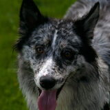 Foto van Angelique; Bruno, Charlie & Fenna