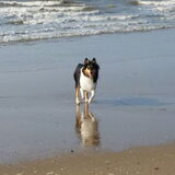 Foto van ~ Luna & Lèxi ~