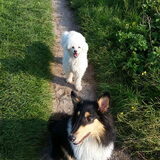 Foto van ~ Luna & Lèxi ~